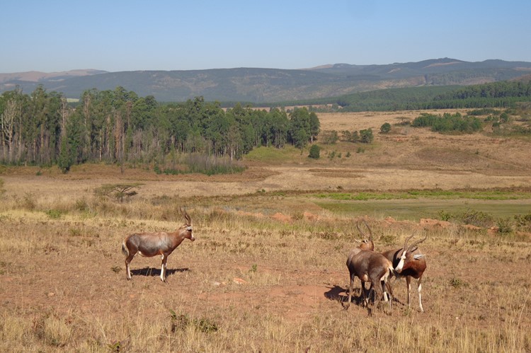Golden Gate Highlands National Park
